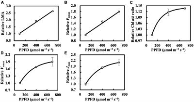 Estimating Light Acclimation Parameters of Cucumber Leaves Using Time-Weighted Averages of Daily Photosynthetic Photon Flux Density